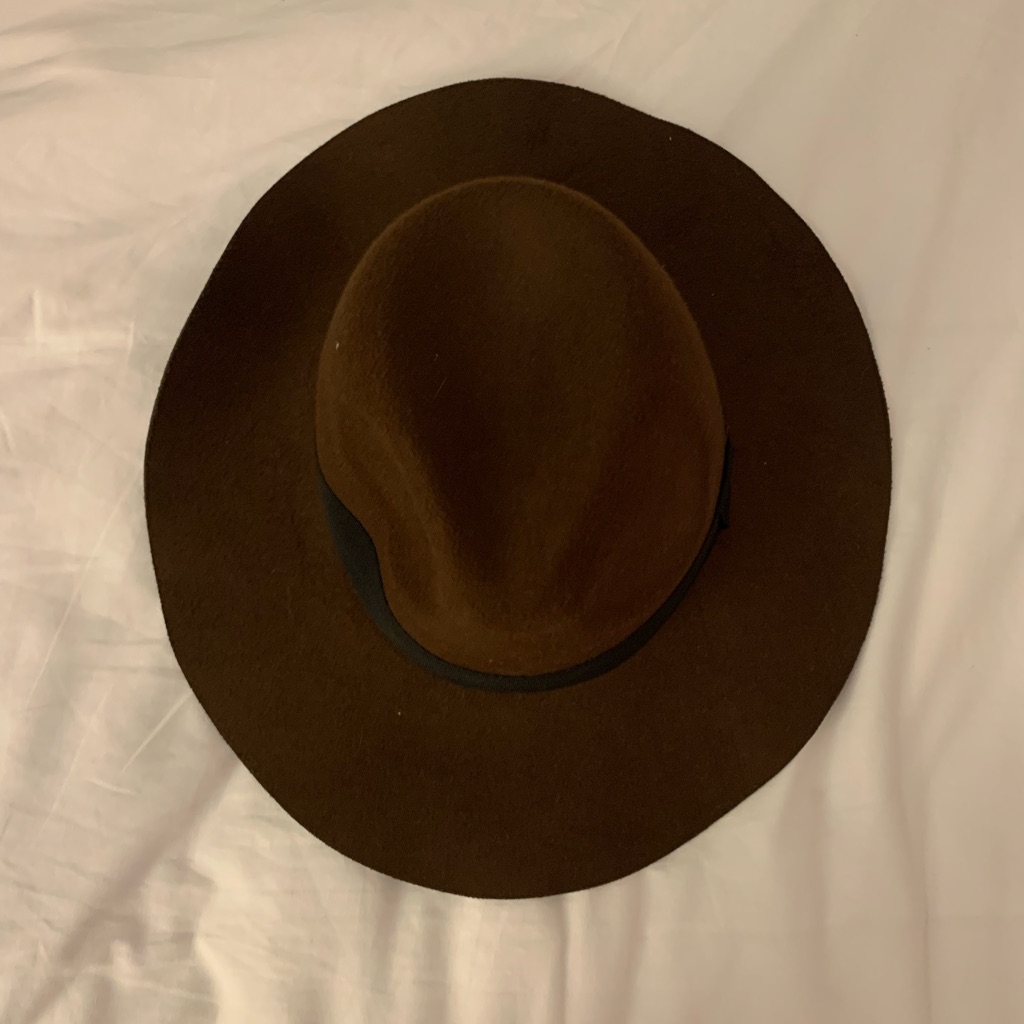Floppy Brown Hat